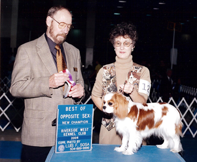 AKC CH CameliaBay Winter's Joy