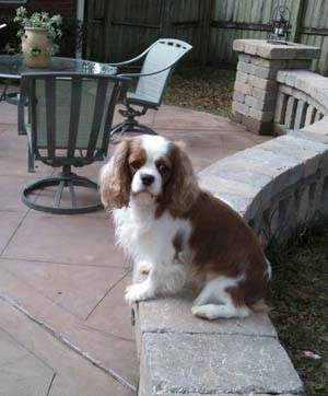 Juette Take That Girl