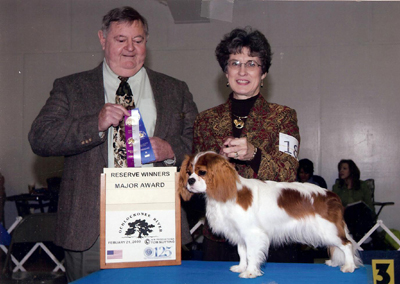 CameliaBay Sunset Glory