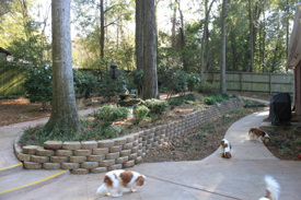 yard2