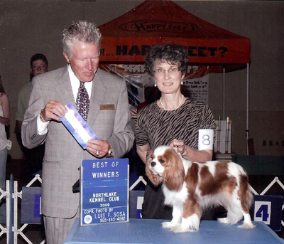 CameliaBay Sunset Glory