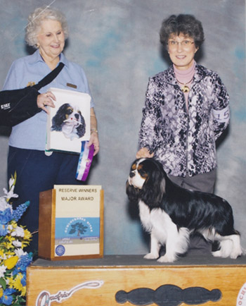 Huntleigh Tux 'n Tails at CameliaBay